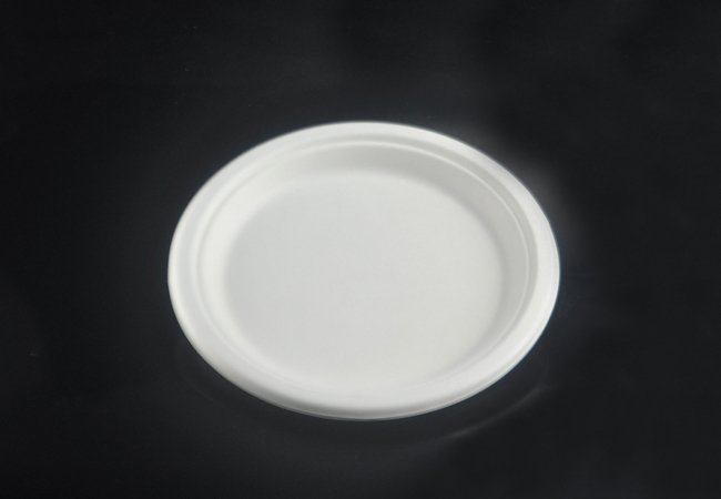 Biodegradable Bagasse Plates
