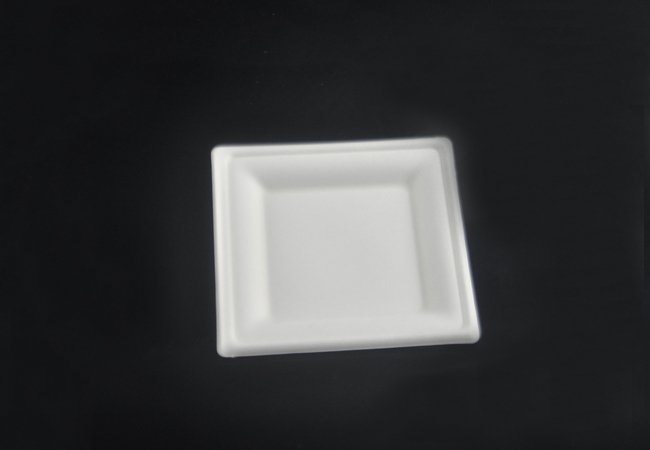 Square bagasse sugarcane plates