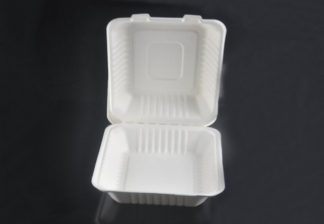 8″x8″ Biodegradable Sugarcane Clamshell-BGC8
